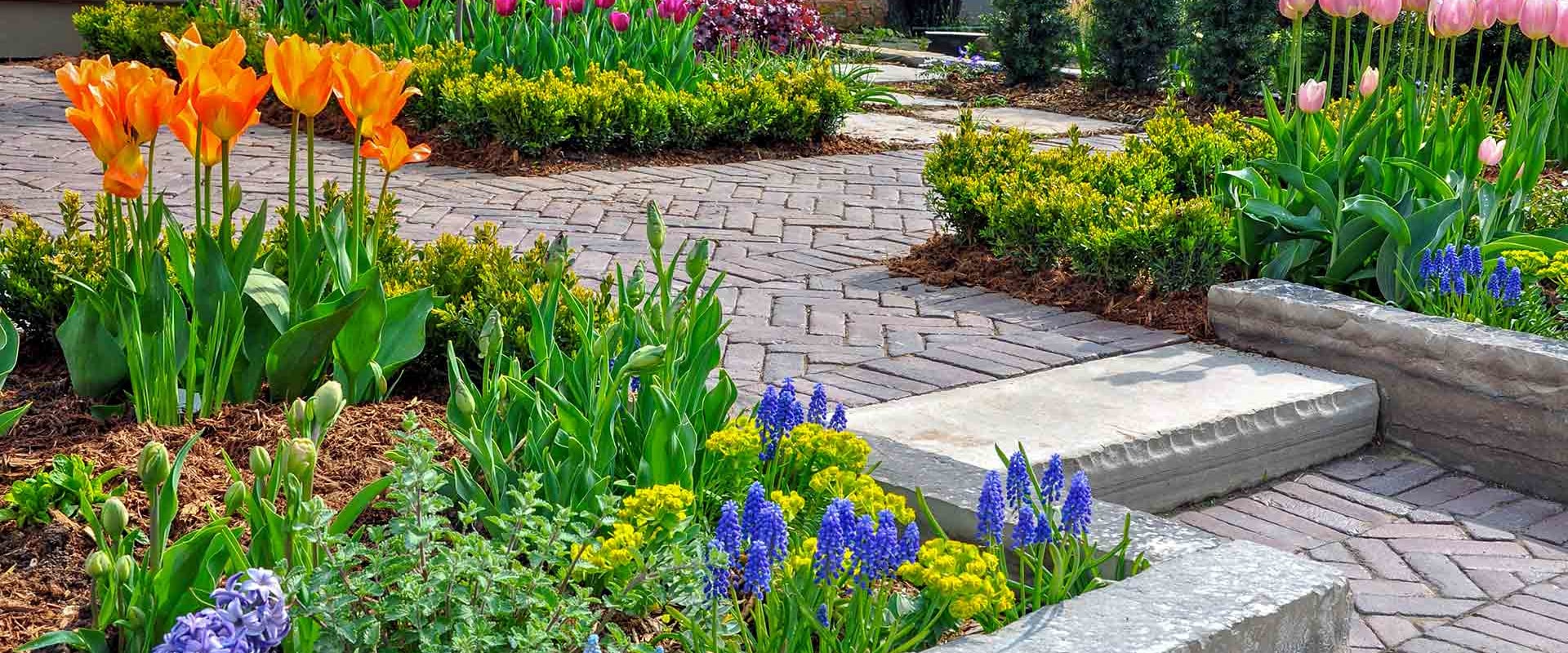 DIY Landscaping: Is it Cheaper to Do it Yourself?