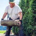 Can Landscaping be Considered a Business Expense?