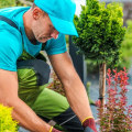 Who Does Landscaping? An Expert's Guide to the Professional Landscape Industry