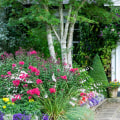 How Landscaping Can Increase Your Property Value