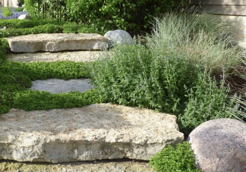 Landscaping Solutions for Grassless Areas
